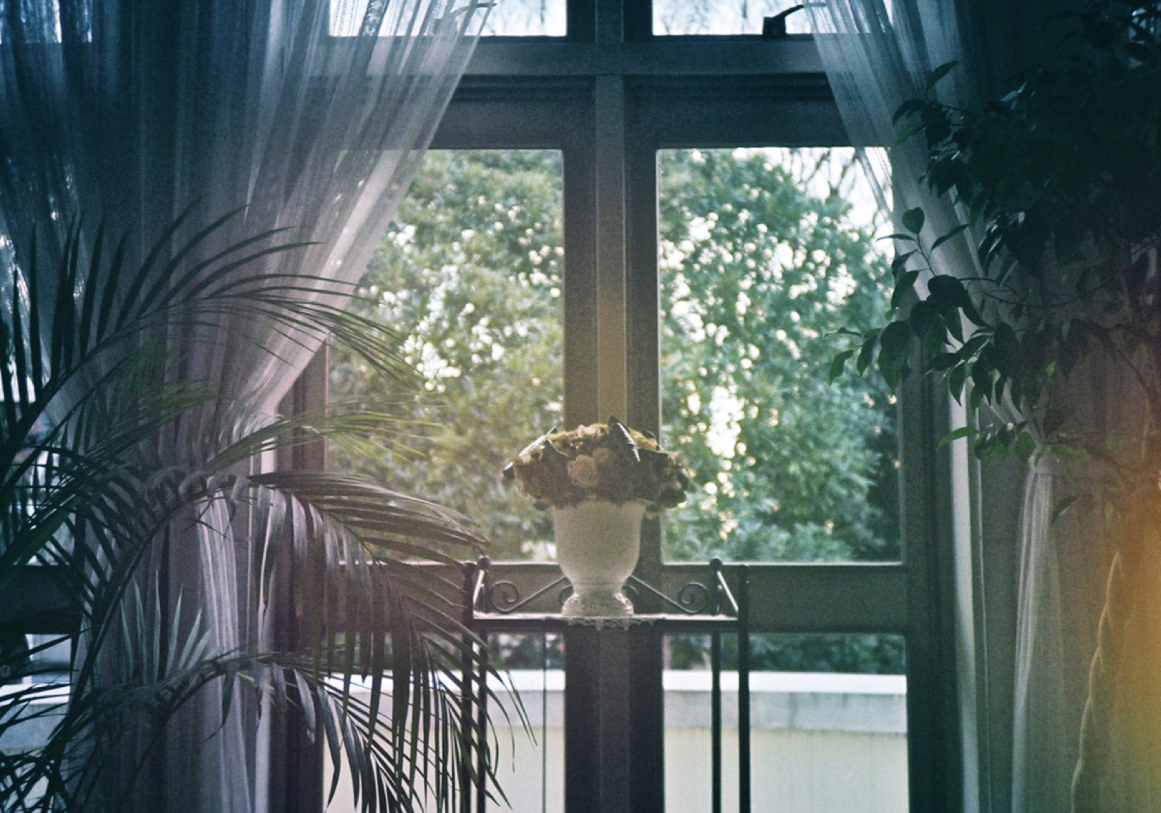 世界には、詩の好きな人もいる