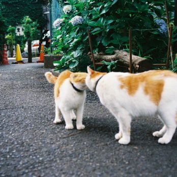 愛はいつも手づくり。みんなで考えた「#だれと生きる？」
