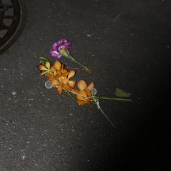 すべてが幻のようなこの毎日を確かなものに。みんなと考えた「#刹那」