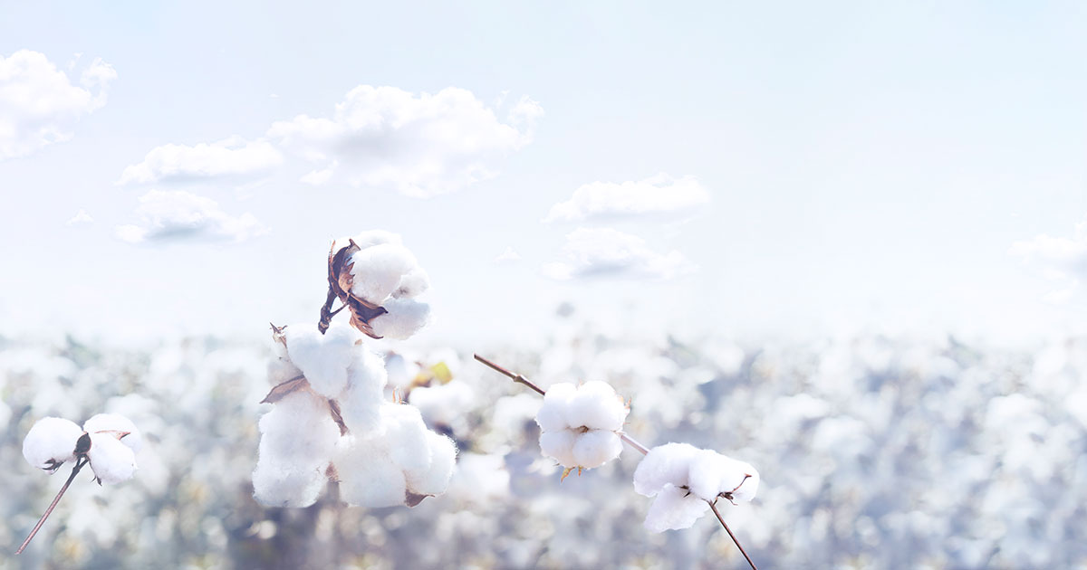 生理やPMSのつらさ、一人だけど一人じゃない。21人の#じぶんにいいこと