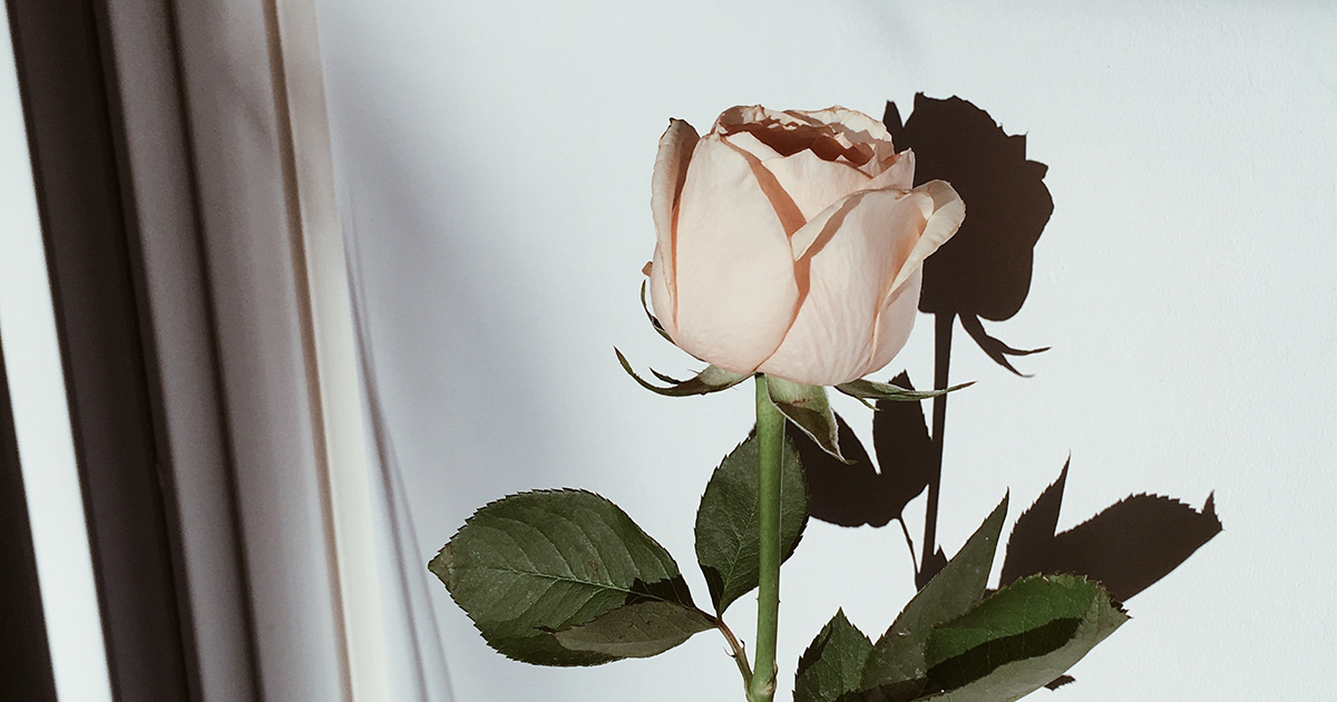 文化や仕事、女性の生活を守るために。わたしたちができる支援