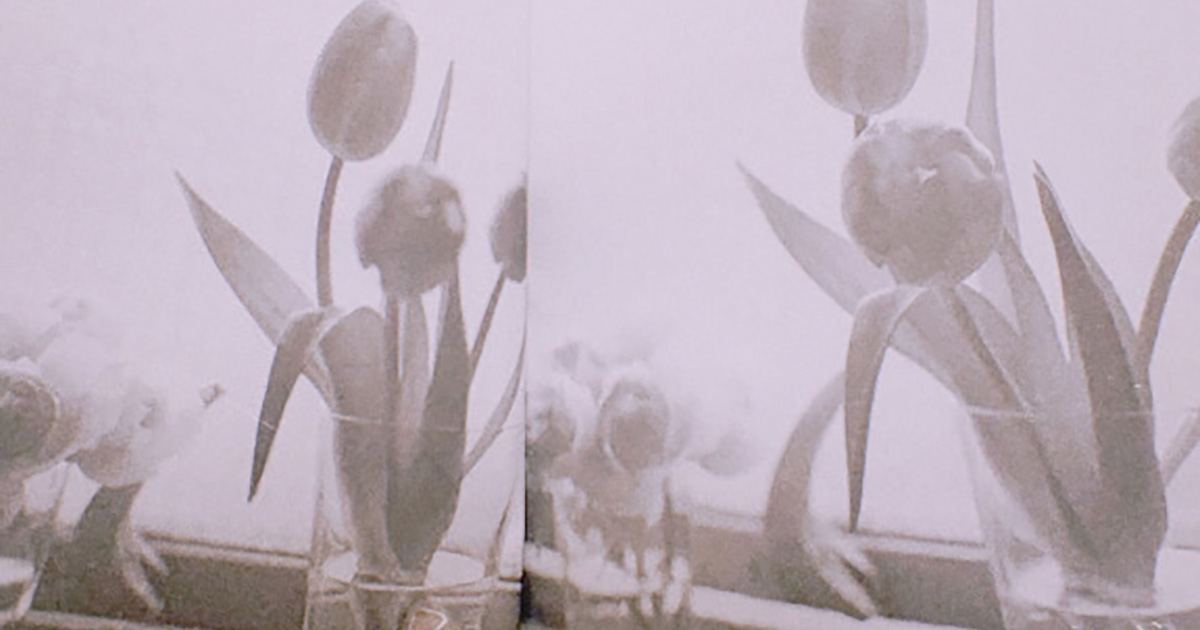 東佳苗とShe is編集部が夜に話した、自信を失うとき、快復するとき