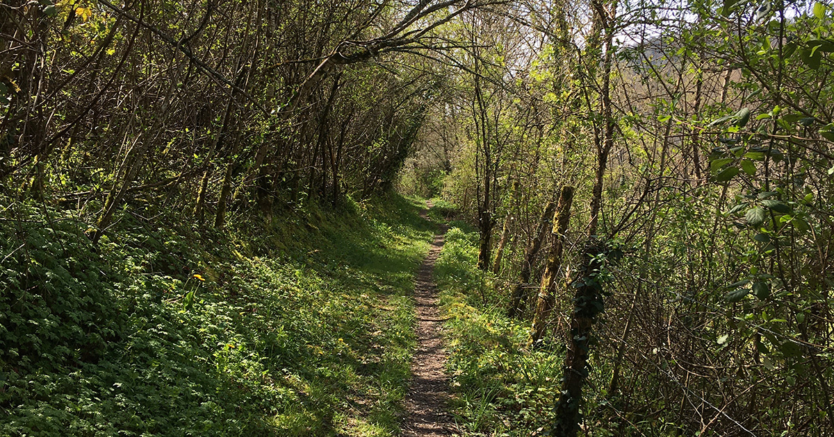 林央子とエレン・フライスのParallel Diaries(2020年5月)