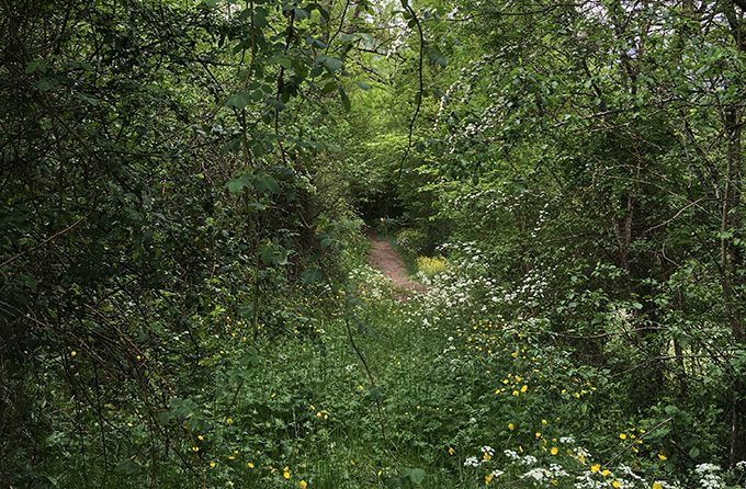 林央子とエレン・フライスのParallel Diaries