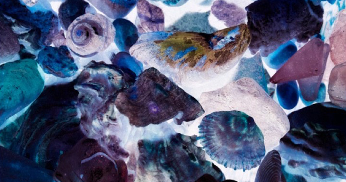 お灸、ぬいぐるみ、石探し。7人それぞれの「わたしだけの癒やし方」