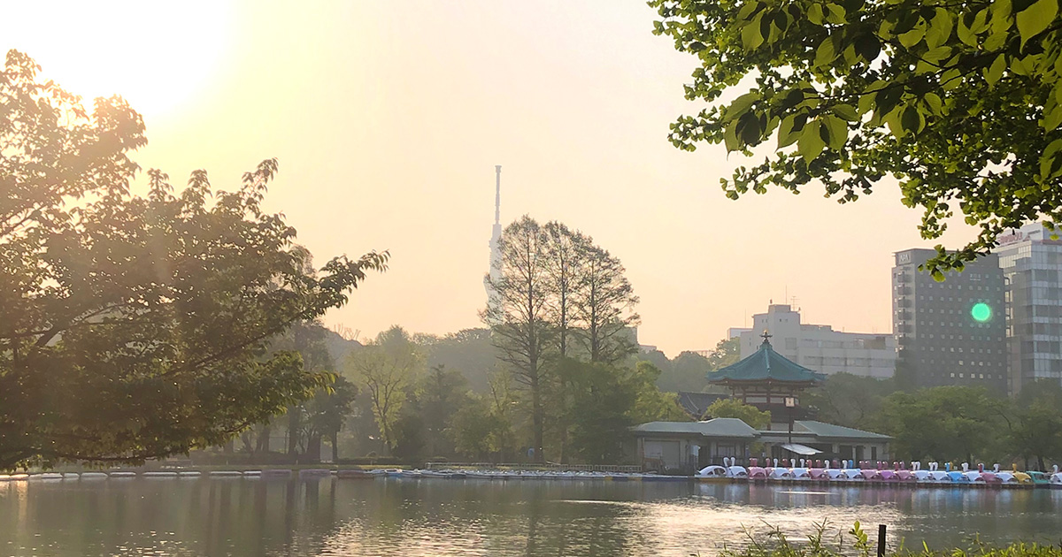 散歩に取り憑かれて／花田菜々子