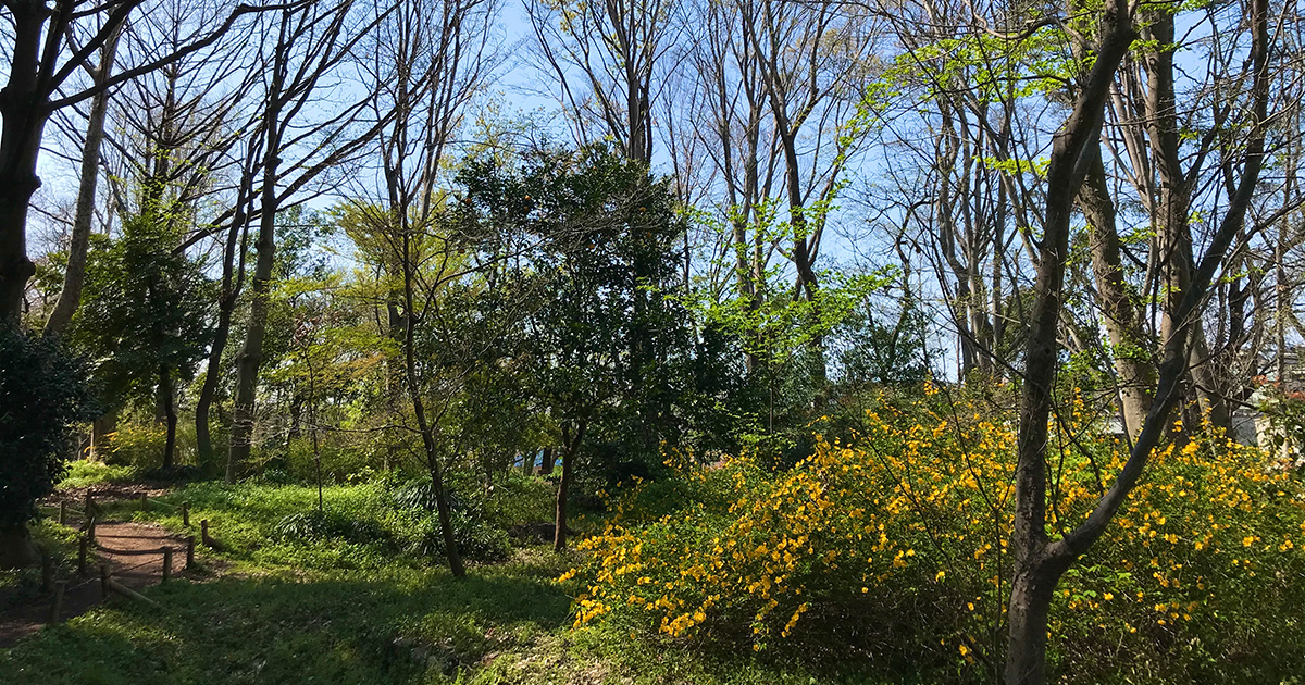 緑溢れる公園で癒やしを得よう。She is的公園ガイド8選