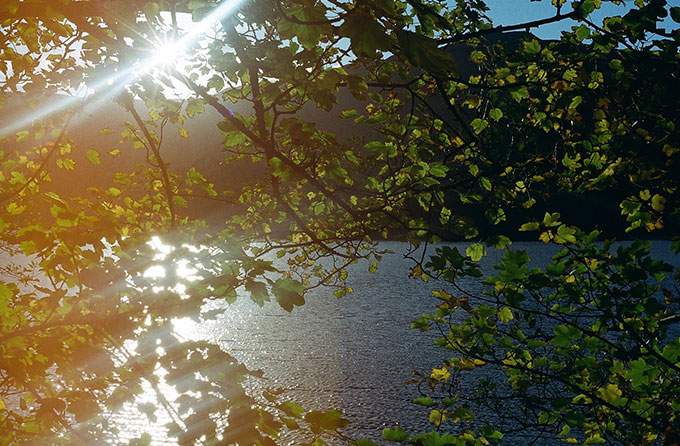 秦レンナの「彼女たちのセンスオブワンダー」