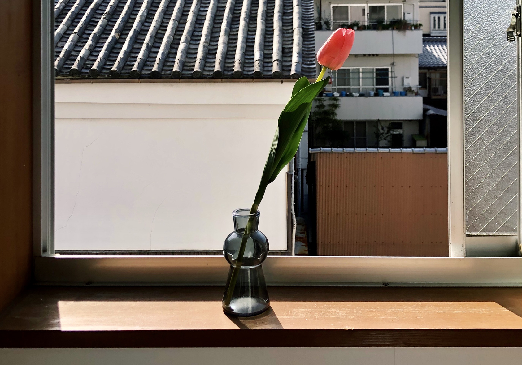 She is編集部のだいたい週報(2021年3月26日)