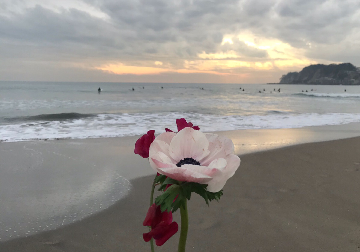 無敵かもしれない夜、確かにある体温「#sheisの好き記事」